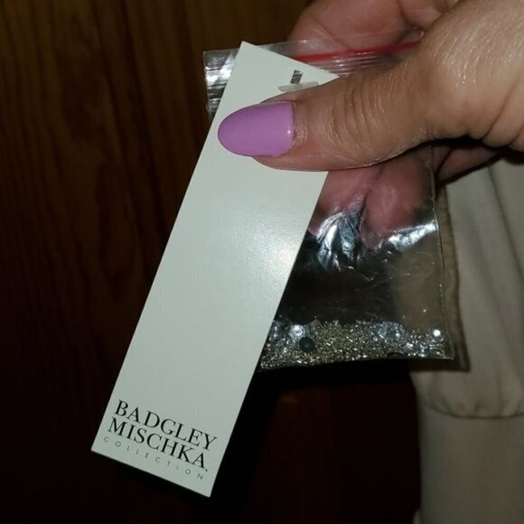 Badgley Mischka Collection Embellished Sheer Blush Maxi Event Lined Sz. 4 Dress - Picture 11 of 15